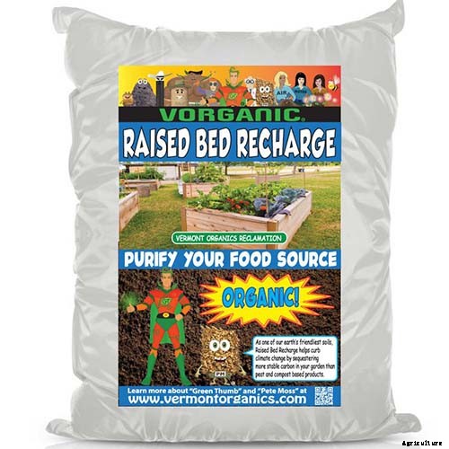 How to Grow Cantaloupe in the Garden