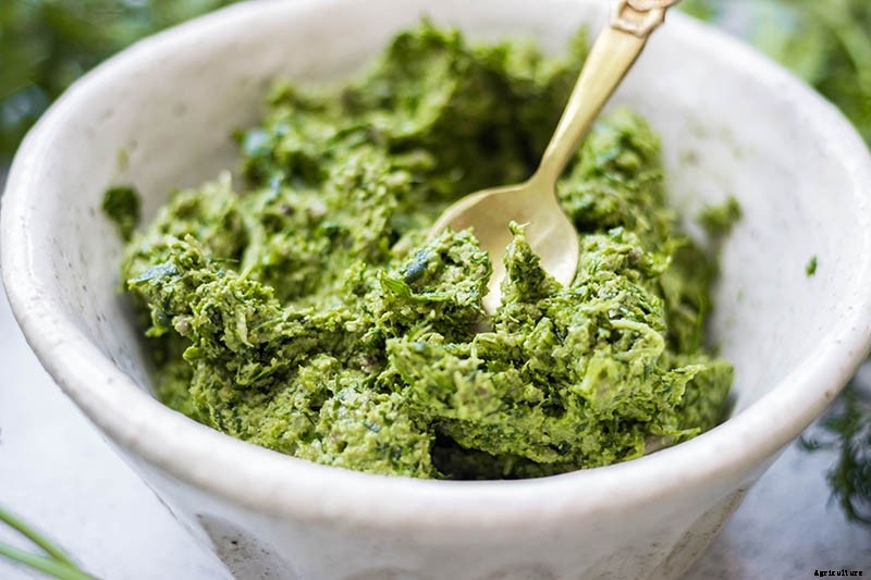 How to Start Your Own Herb Garden