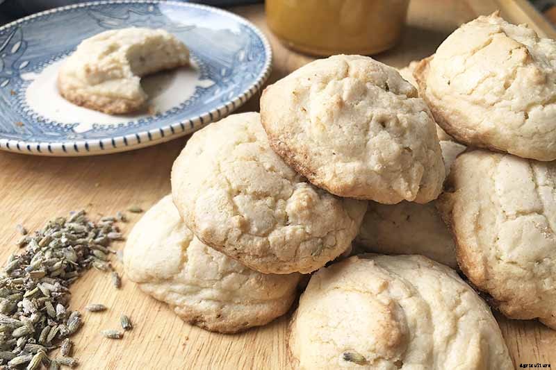 How to Start Your Own Herb Garden