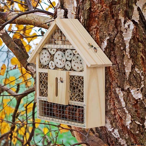 Promoting Pollination by Design: How to Attract Pollinators