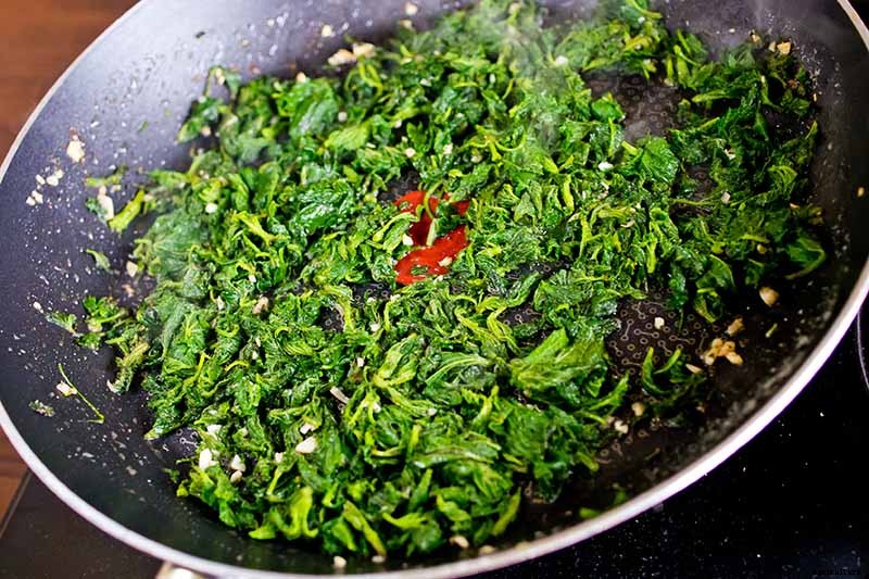 How to Grow Stinging Nettle in Your Garden