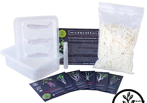 9 Fast-Growing Vegetables and Herbs to Pep Up Your Pantry Menu