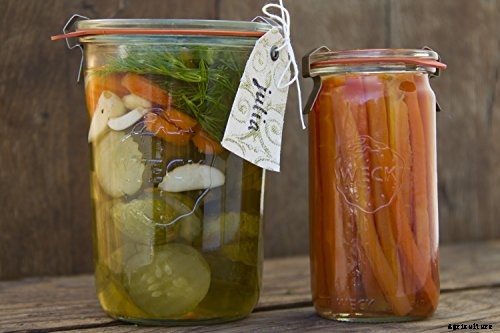 How to Grow Parsley in Your Home Herb Garden