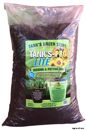 How to Grow Tomatoes From Seed in 6 Easy Steps