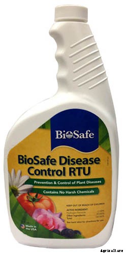 How to Grow Tomatoes From Seed in 6 Easy Steps