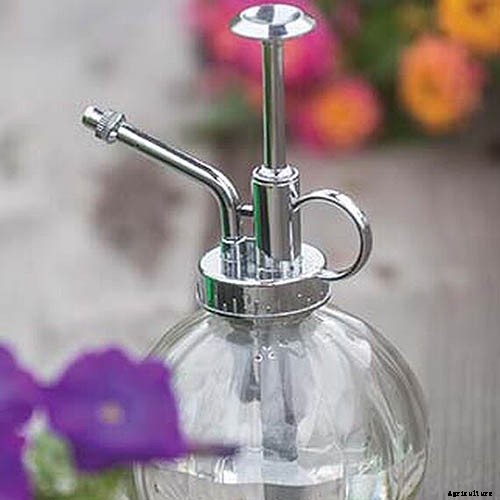 How to Grow Tomatoes From Seed in 6 Easy Steps