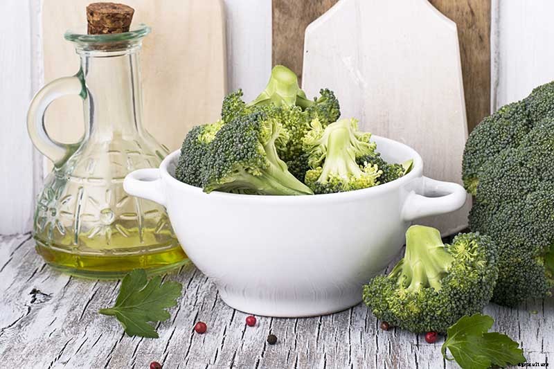 How to Grow Broccoli in Containers