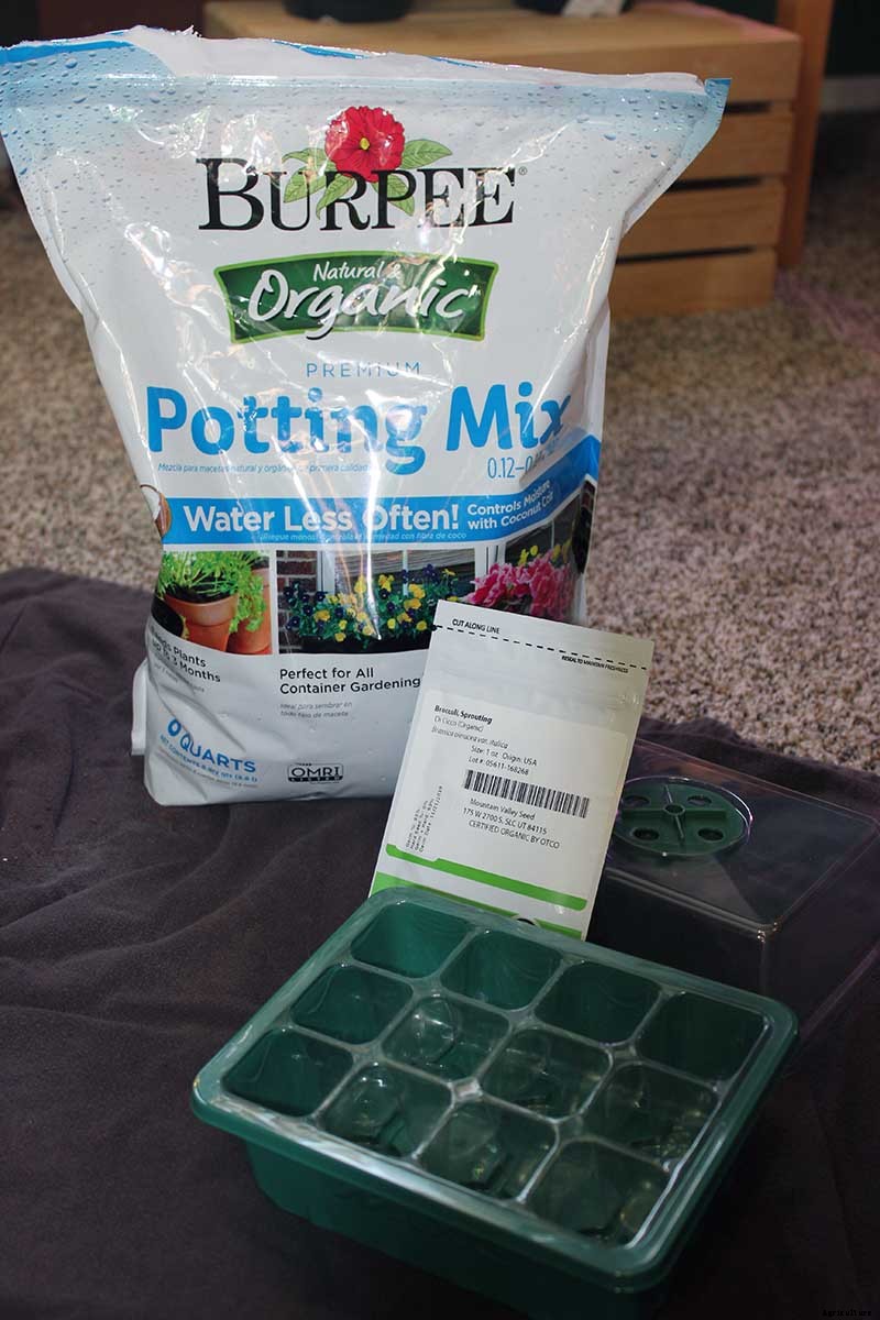 How to Grow Broccoli in Containers