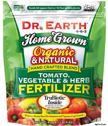 How to Grow Broccoli in Containers