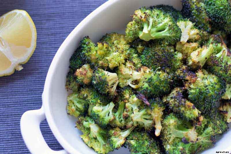 How to Grow Broccoli in Containers