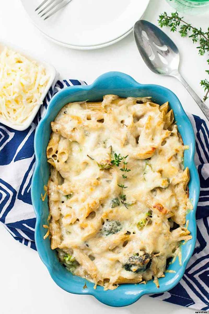 How to Grow Broccoli in Containers