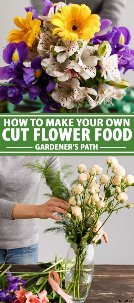 How to Make Your Own Fresh Cut Flower Food