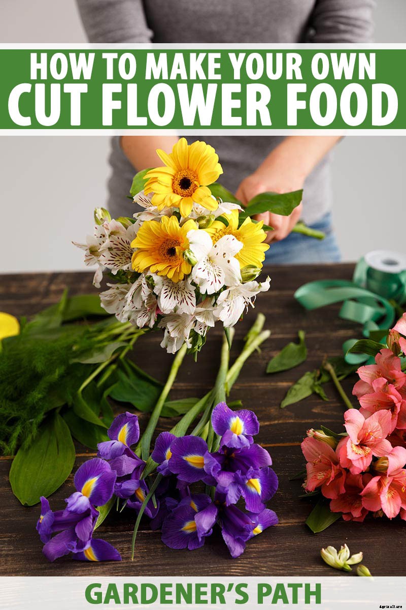 How to Make Your Own Fresh Cut Flower Food