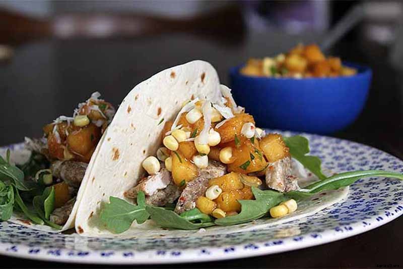 How to Grow Mint in the Garden (Without It Taking Over)