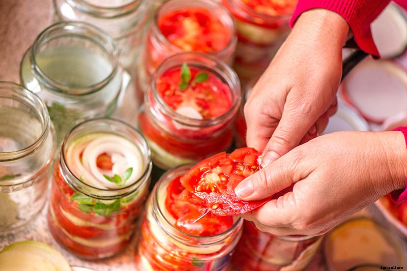 15 of the Best Canning Tomatoes You Should Grow
