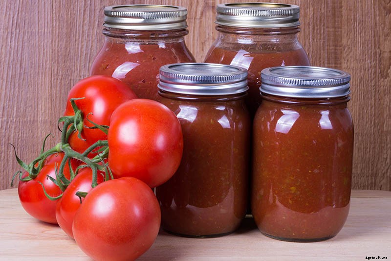 15 of the Best Canning Tomatoes You Should Grow