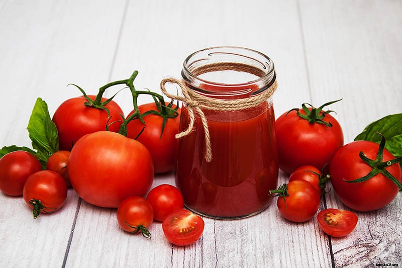 15 of the Best Canning Tomatoes You Should Grow