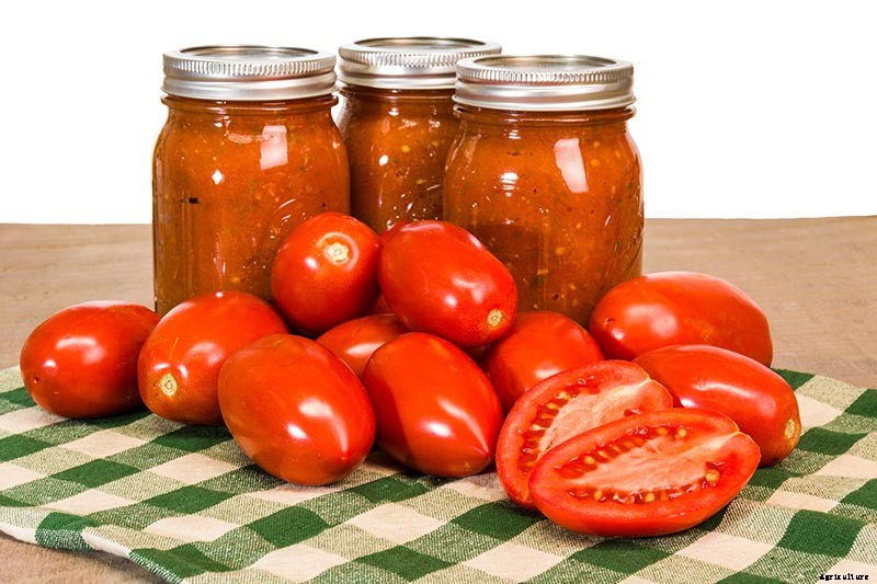 15 of the Best Canning Tomatoes You Should Grow