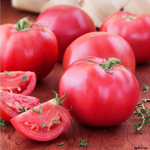 15 of the Best Canning Tomatoes You Should Grow