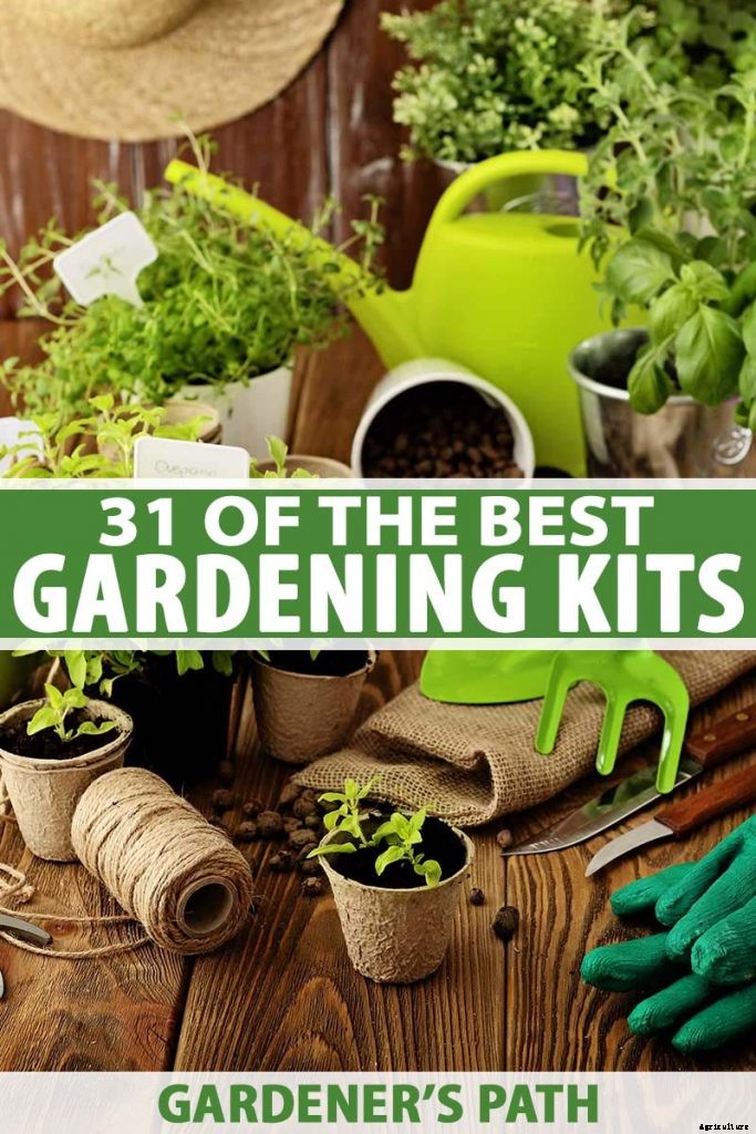 Gardening at Home: 31 of the Best Kits to Get Started
