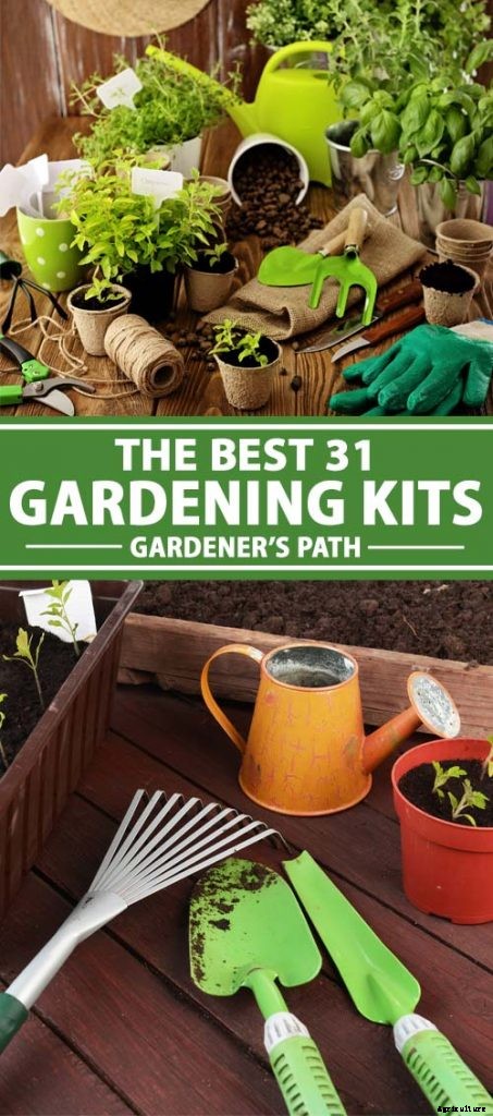 Gardening at Home: 31 of the Best Kits to Get Started