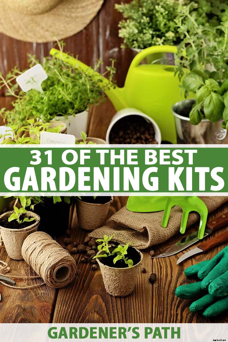 Gardening at Home: 31 of the Best Kits to Get Started