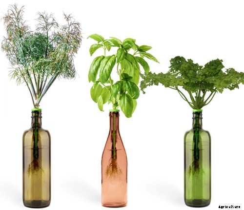 Gardening at Home: 31 of the Best Kits to Get Started