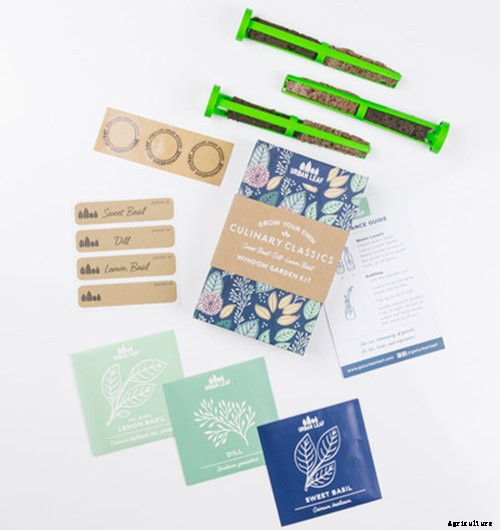 Gardening at Home: 31 of the Best Kits to Get Started