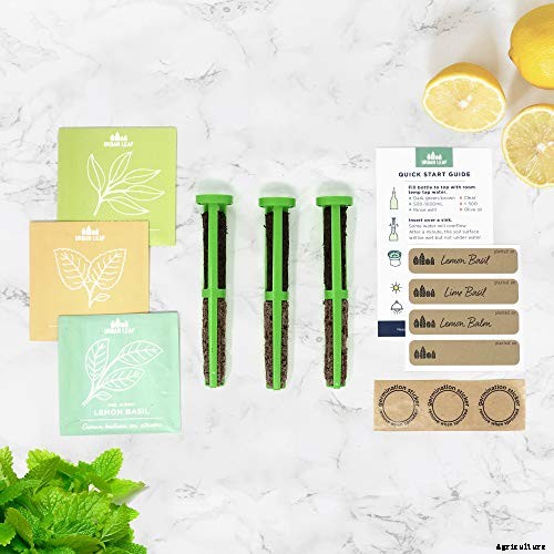 Gardening at Home: 31 of the Best Kits to Get Started