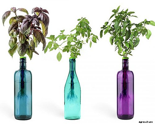 Gardening at Home: 31 of the Best Kits to Get Started