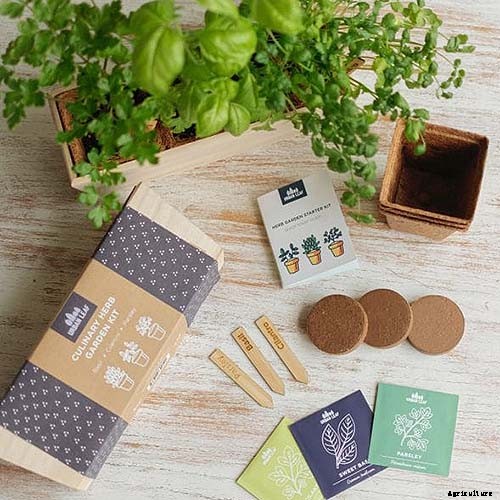 Gardening at Home: 31 of the Best Kits to Get Started
