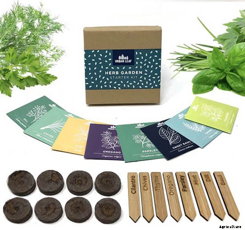Gardening at Home: 31 of the Best Kits to Get Started