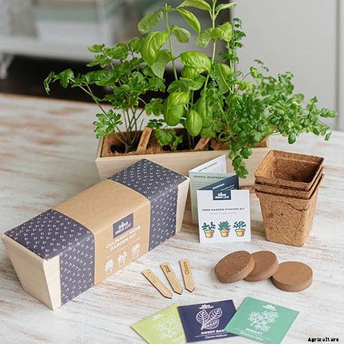 Gardening at Home: 31 of the Best Kits to Get Started