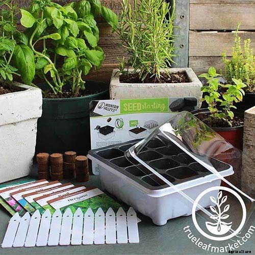 Gardening at Home: 31 of the Best Kits to Get Started