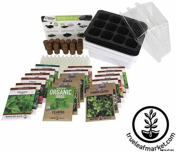 Gardening at Home: 31 of the Best Kits to Get Started