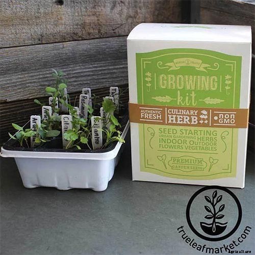 Gardening at Home: 31 of the Best Kits to Get Started