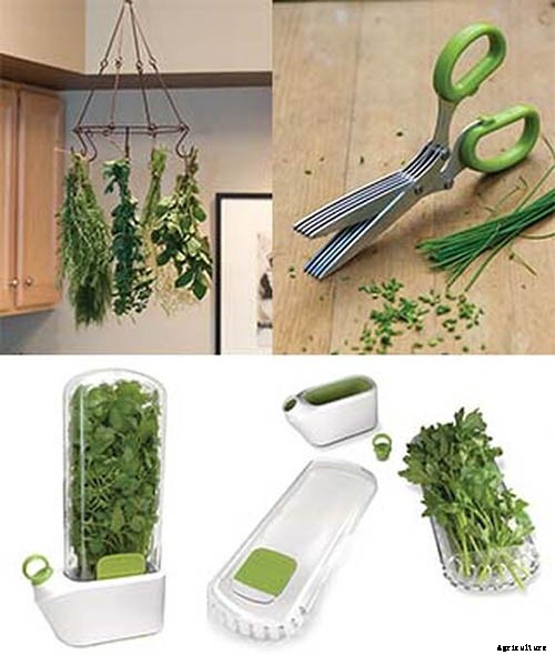 Gardening at Home: 31 of the Best Kits to Get Started