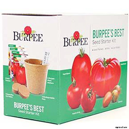 Gardening at Home: 31 of the Best Kits to Get Started