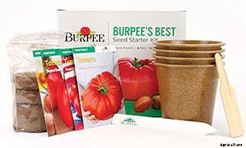 Gardening at Home: 31 of the Best Kits to Get Started