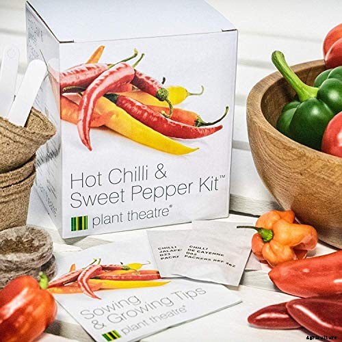 Gardening at Home: 31 of the Best Kits to Get Started