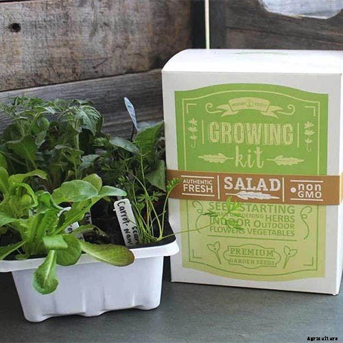 Gardening at Home: 31 of the Best Kits to Get Started