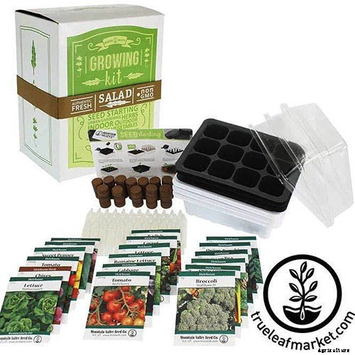 Gardening at Home: 31 of the Best Kits to Get Started