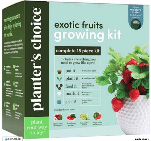 Gardening at Home: 31 of the Best Kits to Get Started