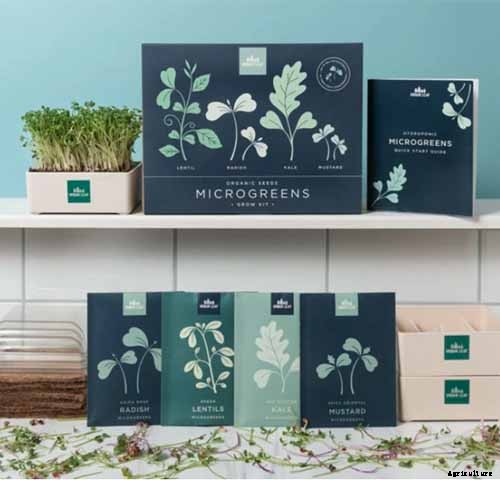 Gardening at Home: 31 of the Best Kits to Get Started