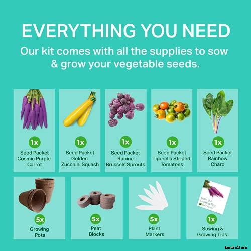 Gardening at Home: 31 of the Best Kits to Get Started