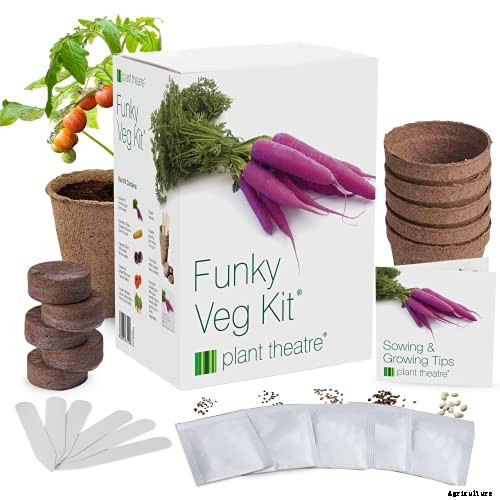 Gardening at Home: 31 of the Best Kits to Get Started