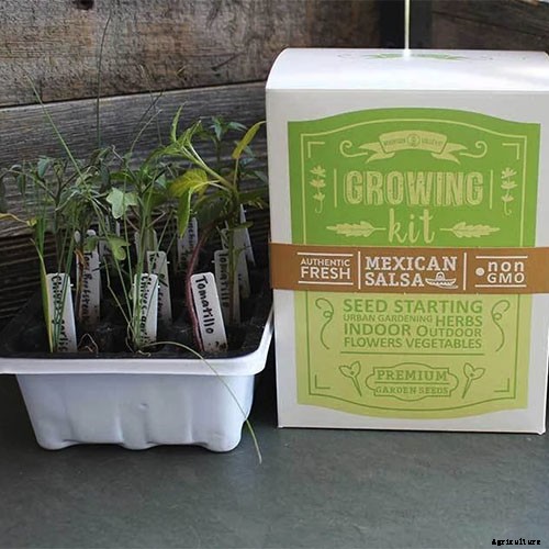 Gardening at Home: 31 of the Best Kits to Get Started