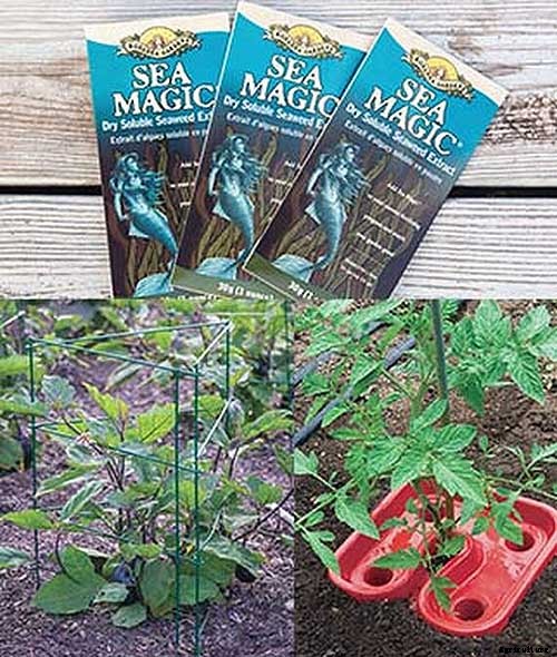 Gardening at Home: 31 of the Best Kits to Get Started