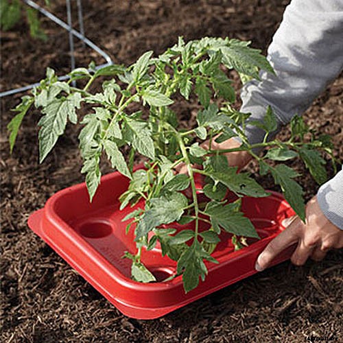 Gardening at Home: 31 of the Best Kits to Get Started