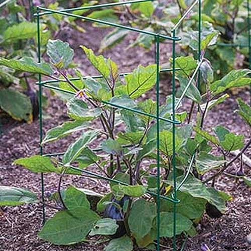 Gardening at Home: 31 of the Best Kits to Get Started